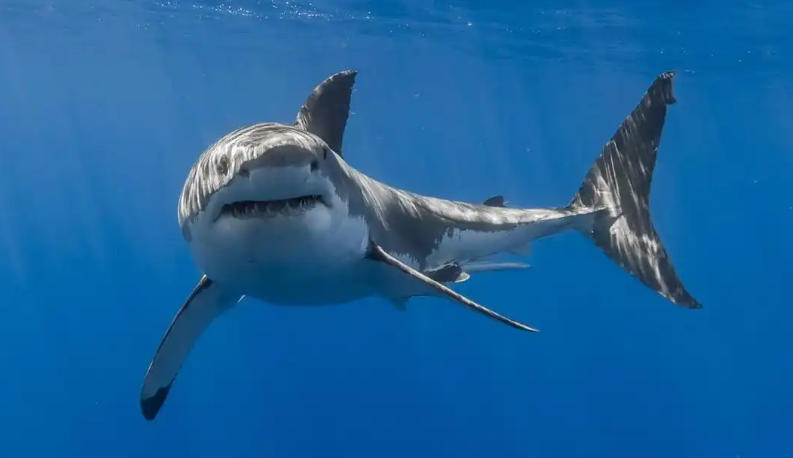 简舒智家智慧民宿提供安全舒适便捷智能化的住宿体验轮播图1